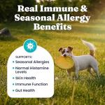 Gold Dog Allergy Relief Chews with Salmon Oil