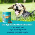 Gold Dog Allergy Relief Chews with Salmon Oil