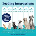 Gold Dog Allergy Relief Chews with Salmon Oil