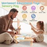 Montessori Kids Wooden Drum Set and Xylophone