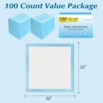 100 Super Absorbent Fast-Dry Disposable Pads