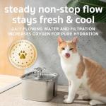 Elegant Stainless Steel Cat Water Fountain with LED