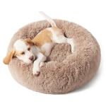 Bedsure Donut Calming Dog Bed for Small Pets