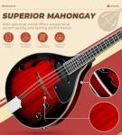 Mahogany Acoustic Electric Mandolin - 8 Strings