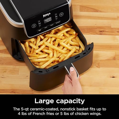 Ninja Pro 4-in-1 Air Fryer, 5 QT Capacity