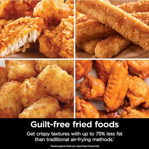 Ninja Pro 4-in-1 Air Fryer, 5 QT Capacity