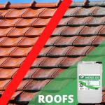 Moss-Go 5L Moss Killer and Patio Cleaner