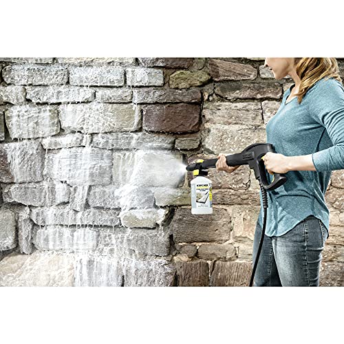 Kärcher 3-in-1 Stone Plug and Clean 1L