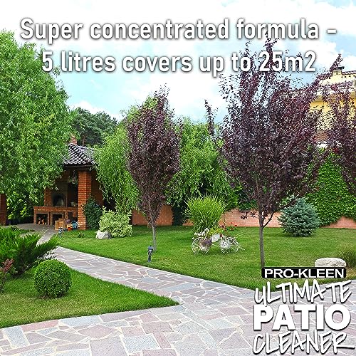 Pro-Kleen Patio Cleaner - Deep Clean for Patios