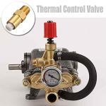 SuKeYuan 1/4 Inch Brass Safety Relief Valve