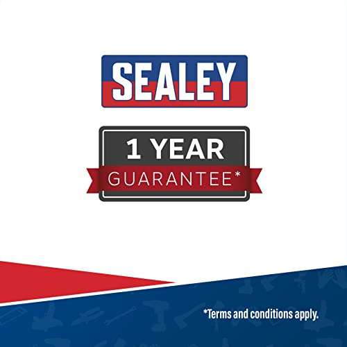 Sealey PW2512 25L 12V Pressure Washer