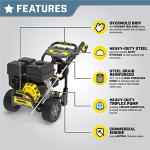 Champion 4200-PSI Gas Pressure Washer