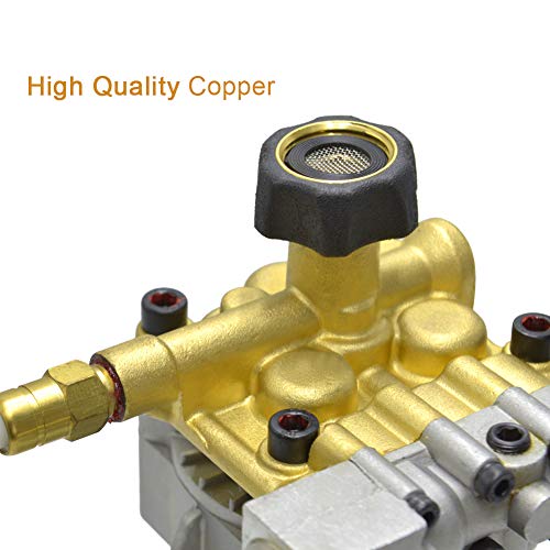 SurmountWay 3400 PSI High Pressure Washer Pump