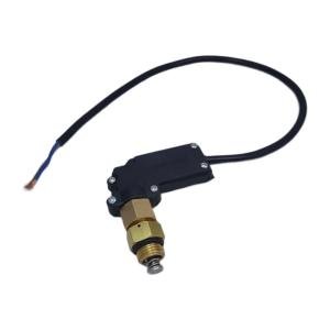 High Pressure Washer Micro Switch for Cars