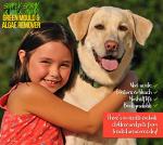 Pro-Kleen Patio Cleaner - Green Mould & Algae Remover