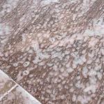 Kärcher Terrace Cleaner Concentrate for Patios & Decks