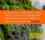 Pro-Kleen Patio Cleaner - Green Mould & Algae Remover