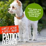 Pro-Kleen Green Mould and Algae Remover Spray