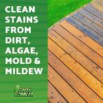 Green Gobbler Mold Stain Remover - 2 Pack