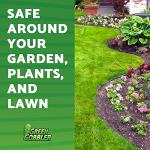 Green Gobbler Mold Stain Remover - 2 Pack