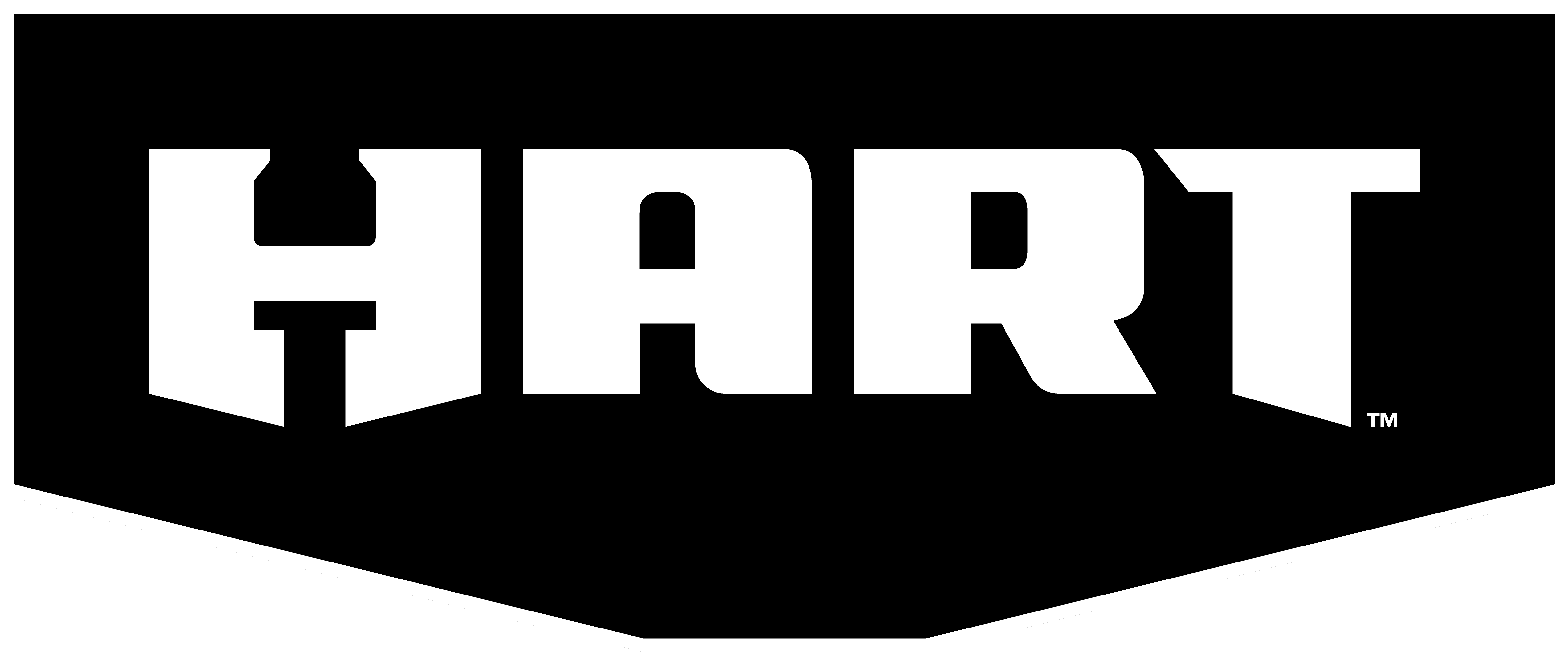 HART Electric Pressure Washer 1700 PSI 1.2 GPM