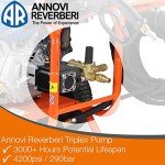 P1PE Petrol Pressure Washer 4200psi P4200PWT