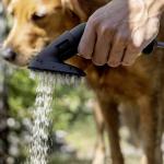 Kärcher Pet Washing Brush Accessory