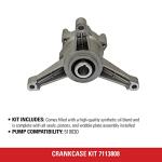 Simpson Crankcase Replacement Kit for Pressure Washer