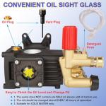 Biswing 4400 PSI Horizontal Triplex Pump