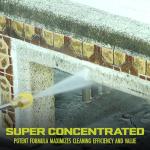 Sun Joe Heavy Duty Pressure Washer Cleaner 1 Gal