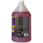 Purple Power Heavy-Duty Pressure Washer Fluid, 1 Gallon