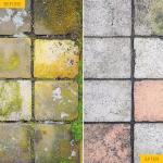 Everbuild FUN5 Moss and Mould Remover, 5L