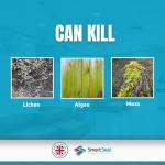 SmartSeal Deck Cleaner - Easy, No Pressure Needed!