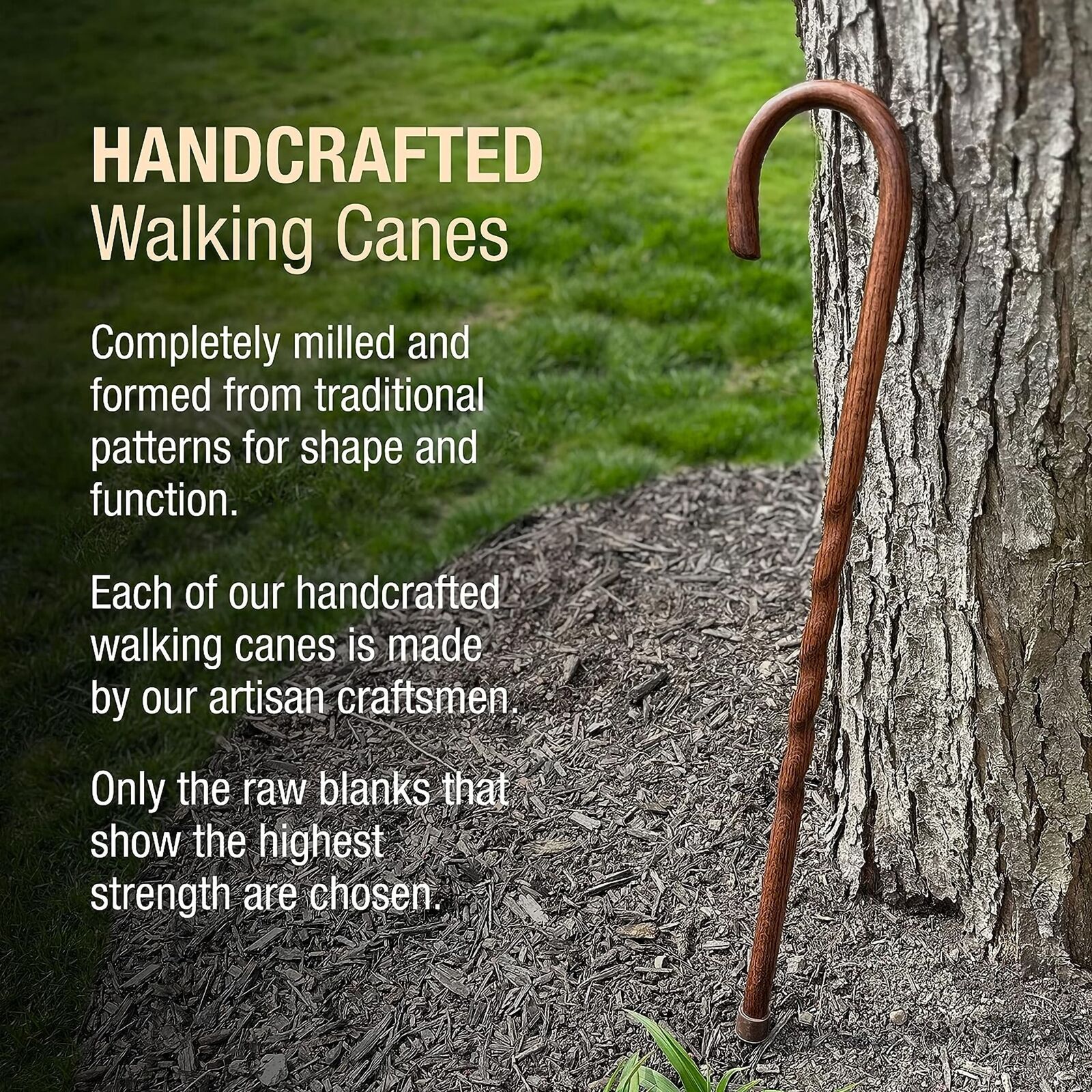 Brazos Twisted Brown Oak Wood Round Handle Cane 37 Inch Height
