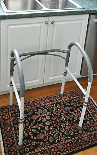 Senior Citizen Toilet Safety Rails