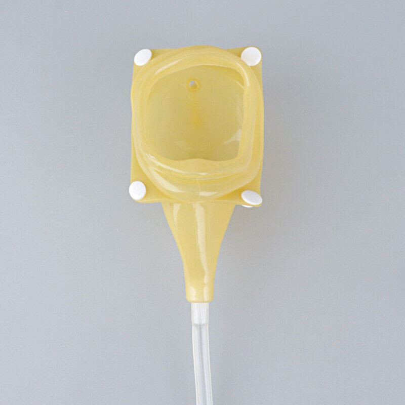 Senior Women's Incontinence System with 2 Pee Cups