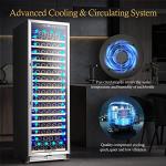 BODEGA 24 Inch Wine Cooler: Large Capacity, Advanced Cooling