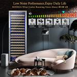 BODEGA 24 Inch Wine Cooler: Large Capacity, Advanced Cooling