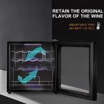 Mini Wine Fridge with 19 Bottle Capacity