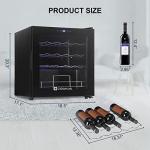 Mini Wine Fridge with 19 Bottle Capacity