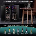 Mini Wine Fridge with 19 Bottle Capacity
