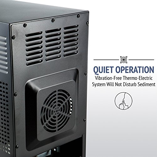 Ivation 8-Bottle Thermoelectric Wine Cooler with Digital Display