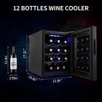 Compact 12 Bottle Wine Fridge with Digital Control
