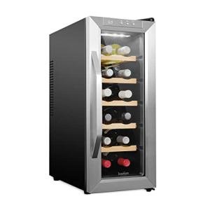 Stainless Steel 12 Bottle Wine Cooler