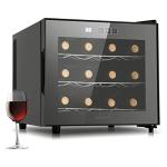 Mini 12-Bottle Wine Fridge with Digital Control