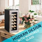 Baridi 12-Bottle Wine Fridge, Stainless Steel