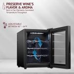 Schmécké 12-Bottle Thermoelectric Wine Cooler