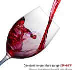 12-Bottle Digital Wine Cooler for Countertop