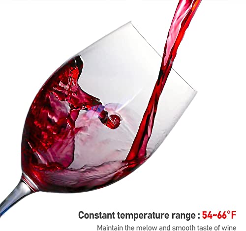 12-Bottle Digital Wine Cooler for Countertop