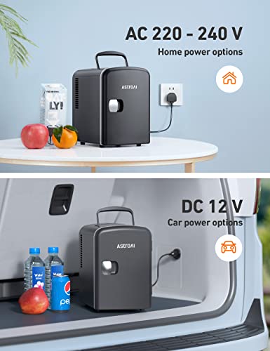 4L Mini Fridge Cooler & Warmer for Home & Travel